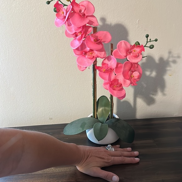 Flower - Picture 4 of 4